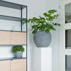 Abby Ball Plant Pot - Ridged Dark Grey -Indoor Plants AbbyBallPlantPot RidgedDarkGrey