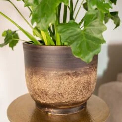 Aico Plant Pot - Shiny Brown -Indoor Plants Aico shiny brown 02