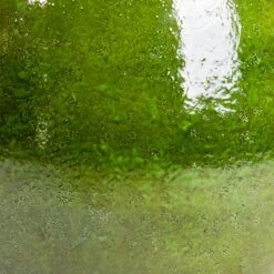 Aimee Plant Pot - Pear -Indoor Plants Aimee Plant Pot Pear SWATCH2