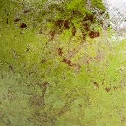 Aimee Plant Pot - Pear -Indoor Plants Aimee Plant Pot Pear SWATCH3