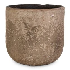Albero Plant Pot - Cement -Indoor Plants Albero Plant Pot Cement 16x14cm c1509482 b7a3 4670 8e6e 570ba6012564