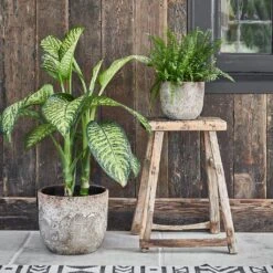 Albero Plant Pot - Cement -Indoor Plants Albero Plant Pot Cement 28 x 26cm