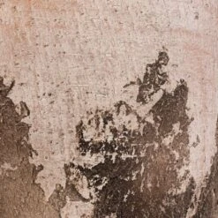 Albero Plant Pot - Cement -Indoor Plants Albero Plant Pot Cement DETAIL