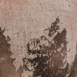 Albero Plant Pot - Cement -Indoor Plants Albero Plant Pot Cement DETAIL d465160c 8621 4f6c 825c 263e6430a47d