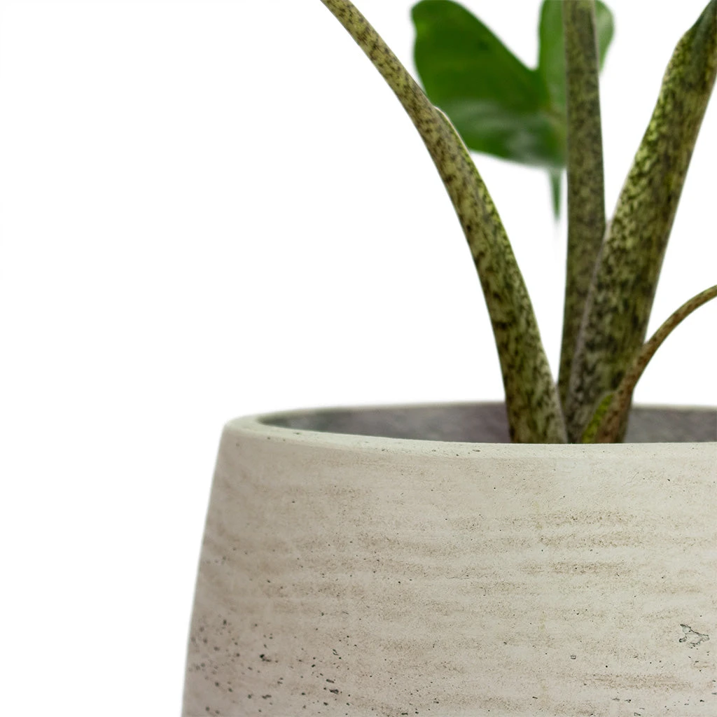 Mini Pixie Plant Pot - Grey Washed 2 Mini Pixie Plant Pot - Grey Washed - Image 2