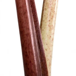 Alocasia Yucatan Princess - Elephant Ear 19 Alocasia Yucatan Princess - Elephant Ear -Indoor Plants Alocasia Yucatan Princess Elephant Ear Close Up 002