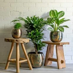 Kian Metal Plant Pots - Set Of 3 - Large - Sky Burn -Indoor Plants Asparagus setaceus Lace Fern Dracaena fragrans Compacta Branched Aglaonema Diamond Bay Chinese Evergreen Kian Metal Plant Pots Set of 3 large Sky Burn