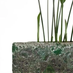 Lava Cube Relic Planter - Jade -Indoor Plants Aspidistra Cast Iron Plant Lava Cube Relic Planter Jade Close Up