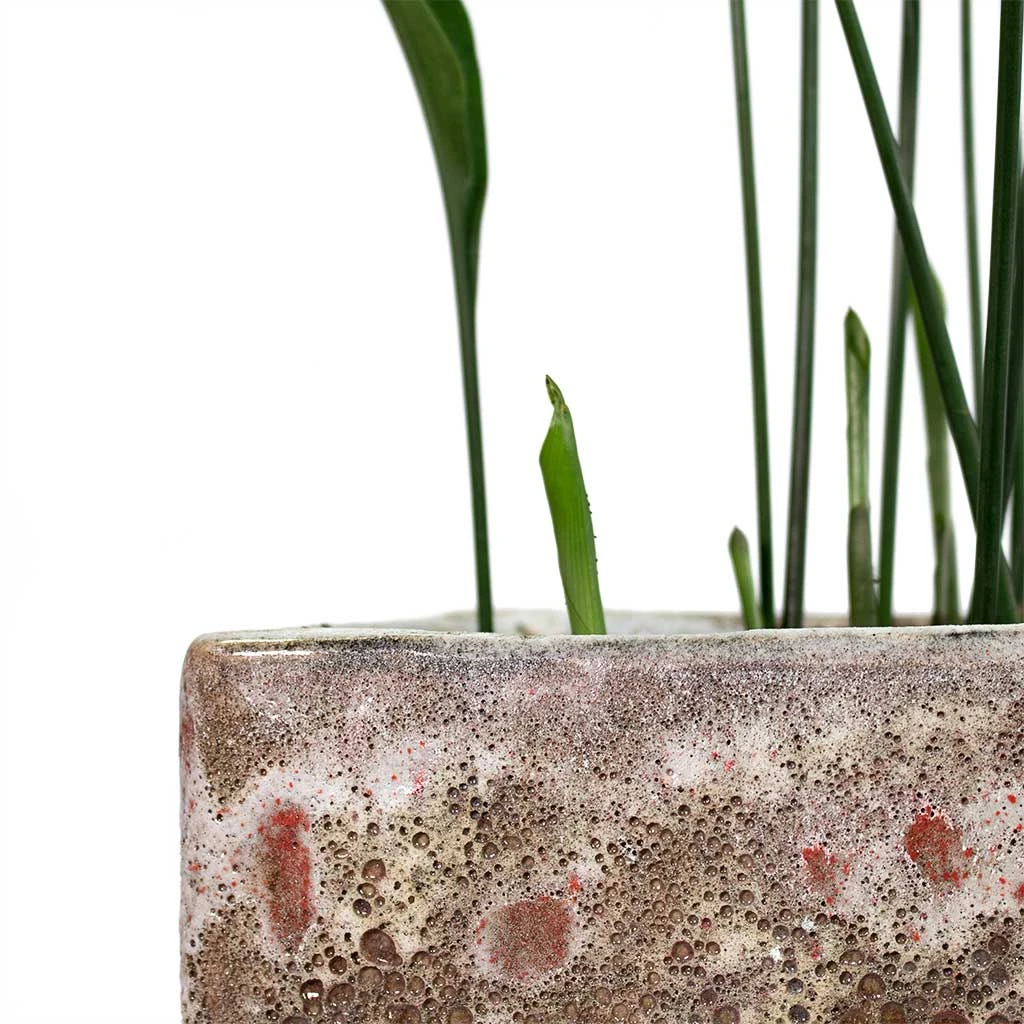 Lava Cube Relic Planter - Pink 2 Lava Cube Relic Planter - Pink - Image 2