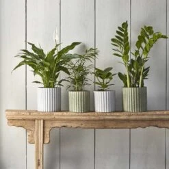 Azalea Ribbed Plant Pot - Speckled Grey Stone 13 Azalea Ribbed Plant Pot - Speckled Grey Stone -Indoor Plants Azalea Ribbed Plant Pot Speckled Green Grey Stone 71a3b4c6 1038 4a69 8560 db5cdee2019f