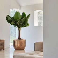 Opus Raw Couple Planter - Gold -Indoor Plants Baq Opus Raw Couple Gold 2