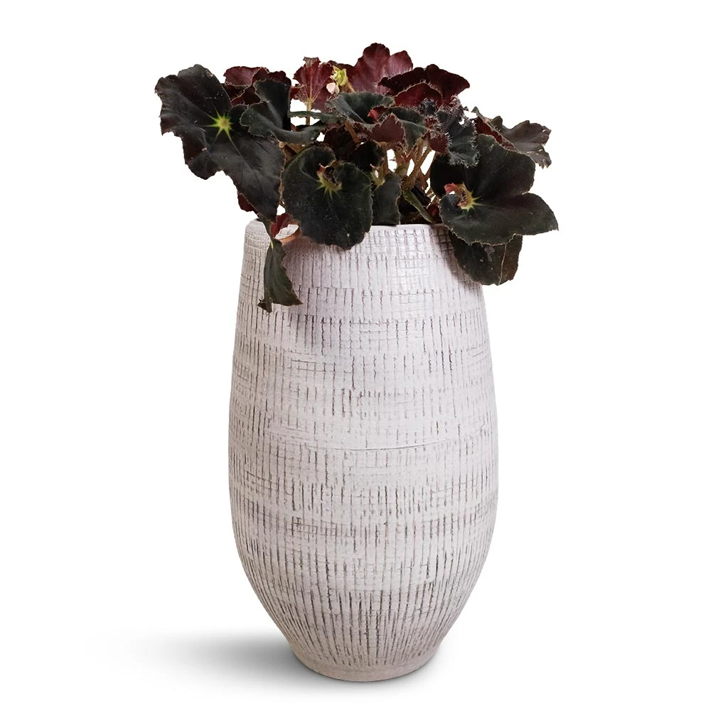 Ryan Plant Vase - White Black 5 Ryan Plant Vase - White Black - Image 5