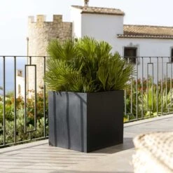 Block Natural Planter - Black 11 Block Natural Planter - Black -Indoor Plants Block Natural Planter Black 4
