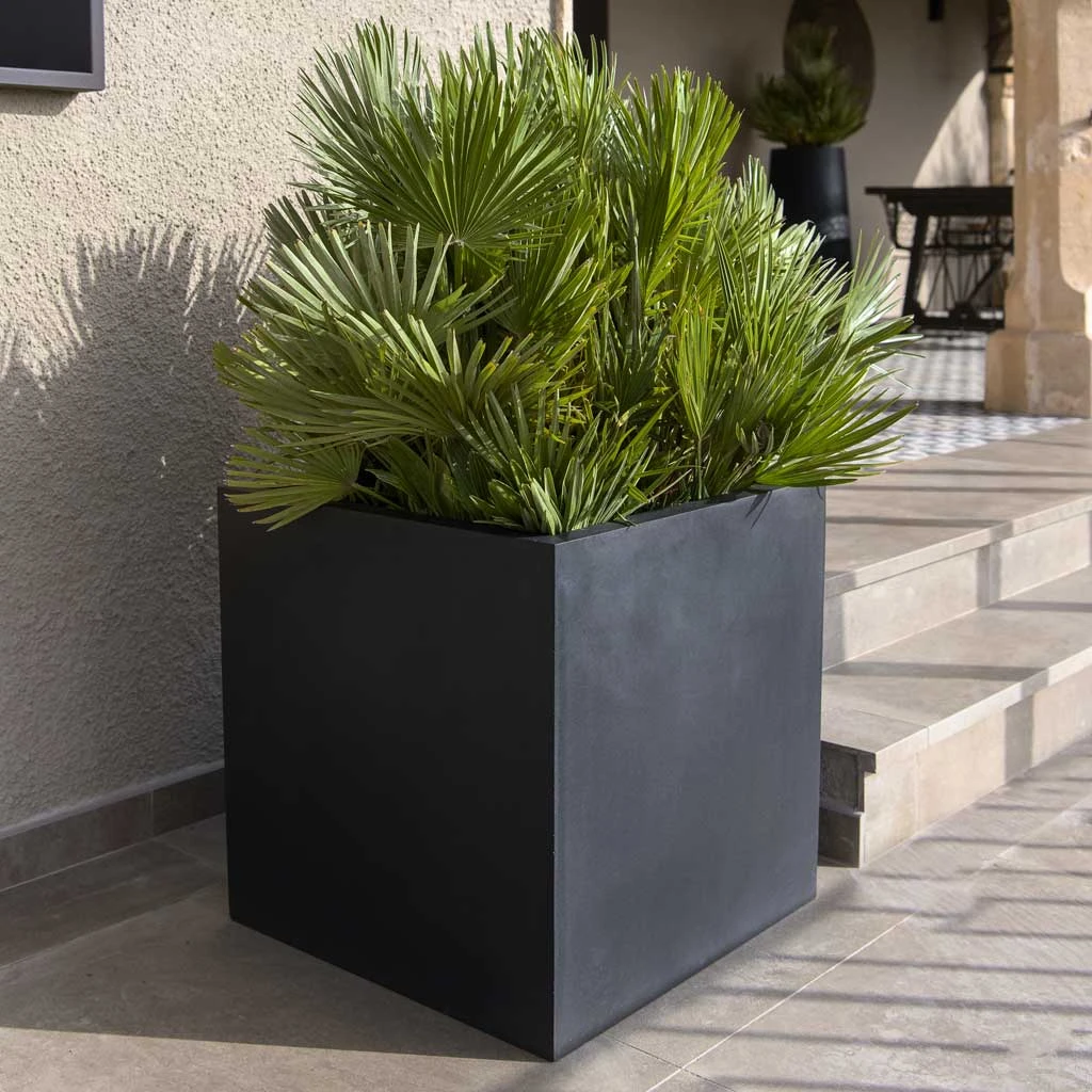 Block Natural Planter - Black 2 Block Natural Planter - Black - Image 2