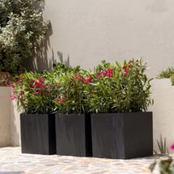 Block Natural Planter - Black 13 Block Natural Planter - Black -Indoor Plants BlockNaturalPlanter Black 2