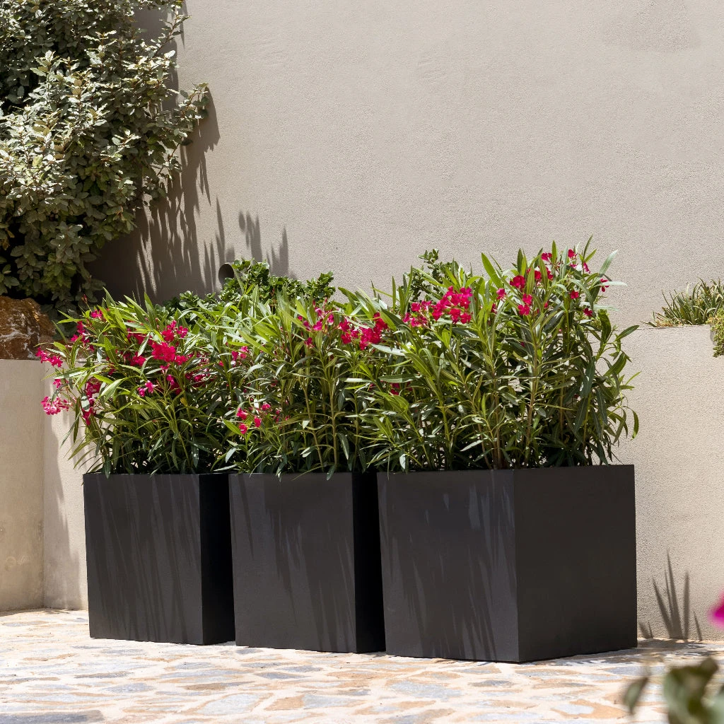 Block Natural Planter - Black 6 Block Natural Planter - Black - Image 6