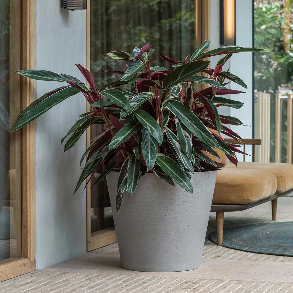 Bucket Refined Planter - Clouded Grey 2 Bucket Refined Planter - Clouded Grey - Image 2