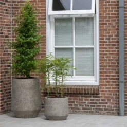 Harith Cement & Stone Plant Pot - Granite Grey -Indoor Plants Cement Stone Harith Plant Pot lifestyle