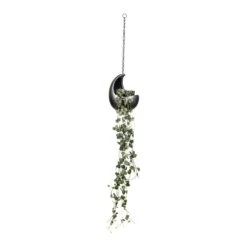 Ceropegia Woodii - String Of Hearts -Indoor Plants Ceropegia woodii String of Hearts 14x30cm Gradient Hanging Cocoon Matt Grey 20x24cm