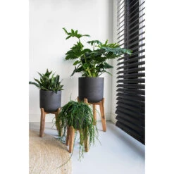 Charlie Plant Pot - Tall Stand - Black Washed -Indoor Plants Charlie Plant Pot Tall Stand Black Washed Lifestyle 02