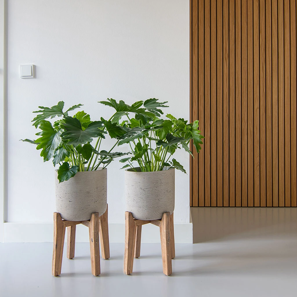 Charlie Plant Pot - Tall Stand - Grey Washed 2 Charlie Plant Pot - Tall Stand - Grey Washed - Image 2