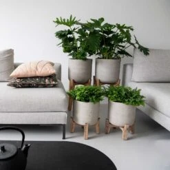 Charlie Plant Pot - Low Stand - Grey Washed 9 Charlie Plant Pot - Low Stand - Grey Washed -Indoor Plants Charlie Plant Pot Tall Stand Grey Washed Lifestyle 02 9225be9f 92ff 40ce 8bec 1627a363928b