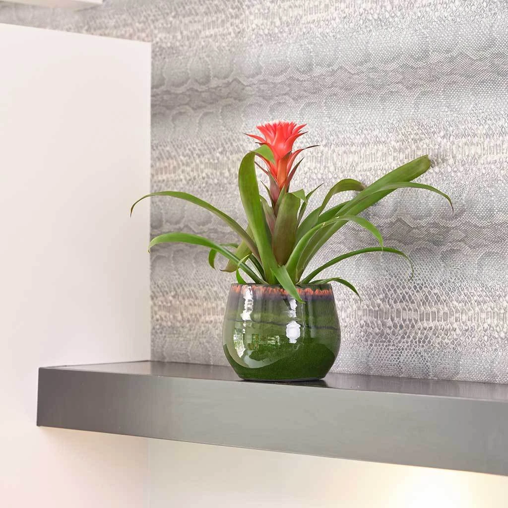 Charlotte Plant Pot - Green 19 Charlotte Plant Pot - Green - Image 19