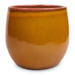 Charlotte Plant Pot - Spiced Ochre