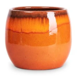Charlotte Plant Pot - Orange -Indoor Plants Charlotte Plant Pot Orange 19x16cm