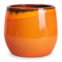 Charlotte Plant Pot - Orange -Indoor Plants Charlotte Plant Pot Orange 23x20cm