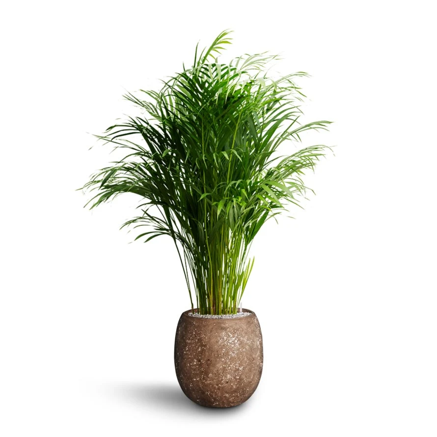 Polystone Coated Plain Balloon Planter - Rock 3 Polystone Coated Plain Balloon Planter - Rock - Image 3
