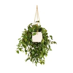 Patt Hanging Plant Pot - Grey Washed -Indoor Plants Cissus rhombifolia Ellen Dancia Grape Ivy 17x40cm Patt Hanging Plant Pot Grey Washed 20x17cm 6f30a8cf 7145 4f62 8638 c015203b702d
