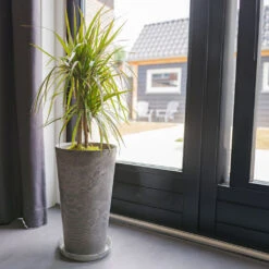 Claire Artstone Tall Planter - Grey 9 Claire Artstone Tall Planter - Grey -Indoor Plants Claire Artstone Tall Planter Grey 1