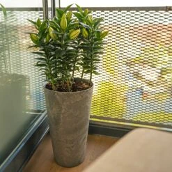 Claire Artstone Tall Planter - Grey 8 Claire Artstone Tall Planter - Grey -Indoor Plants Claire Artstone Tall Planter Grey 4