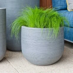 Cody Plant Pot - Ridged Dark Grey -Indoor Plants Cody Plant Pot Ridged Dark Grey Houseplant