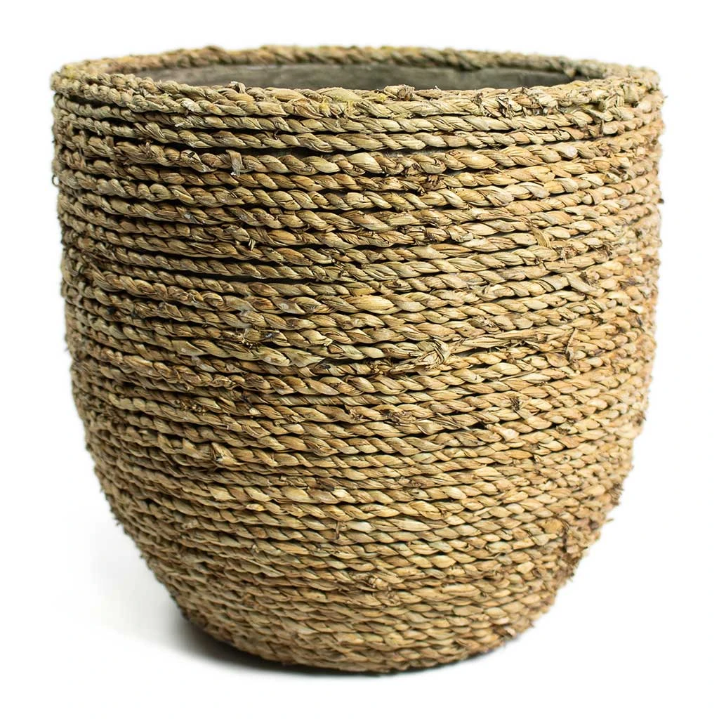 Cody Plant Pot - Straw Grass 9 Cody Plant Pot - Straw Grass - Image 9