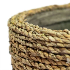 Cody Plant Pot - Straw Grass 34 Cody Plant Pot - Straw Grass -Indoor Plants Cody Plant Pot Straw Grass Close Up