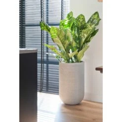 Cody Plant Vase - Ridged Cement -Indoor Plants Cody Plant Vase Ridged Cement Dieffenbachia