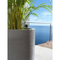 Cody Plant Vase - Ridged Dark Grey -Indoor Plants Cody Tall Planter Ridged Dark Grey Areca Palm