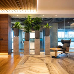 Cody Plant Vase - Ridged Dark Grey -Indoor Plants CodyPlantVase RidgedDarkGrey 9