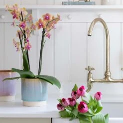 Copenhagen Plant Pot - Aqua -Indoor Plants Copenhagen Plant Pot Aqua 15.5 x 16cm