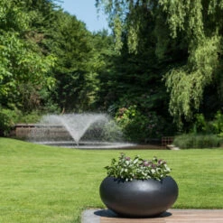 Cora Natural Bowl Planter - Black -Indoor Plants CoraNaturalBowlPlanter Black 2