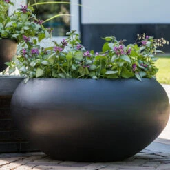 Cora Natural Bowl Planter - Black -Indoor Plants CoraNaturalBowlPlanter Black 5