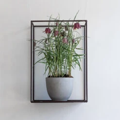 Coral Refined Planter - Clouded Grey -Indoor Plants Coral Refined Planter Clouded Grey Lifestyle