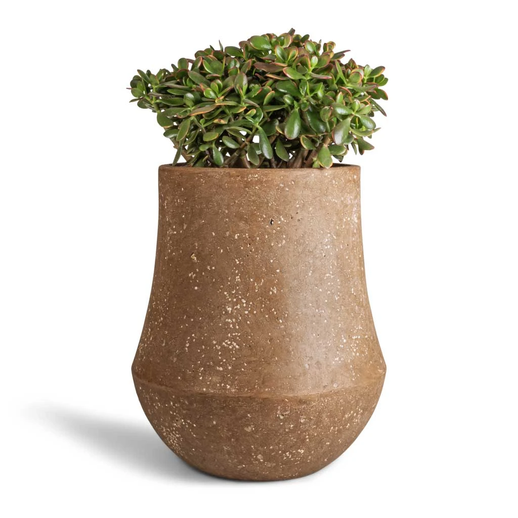 Polystone Coated Darcy Planter - Rock 2 Polystone Coated Darcy Planter - Rock - Image 2