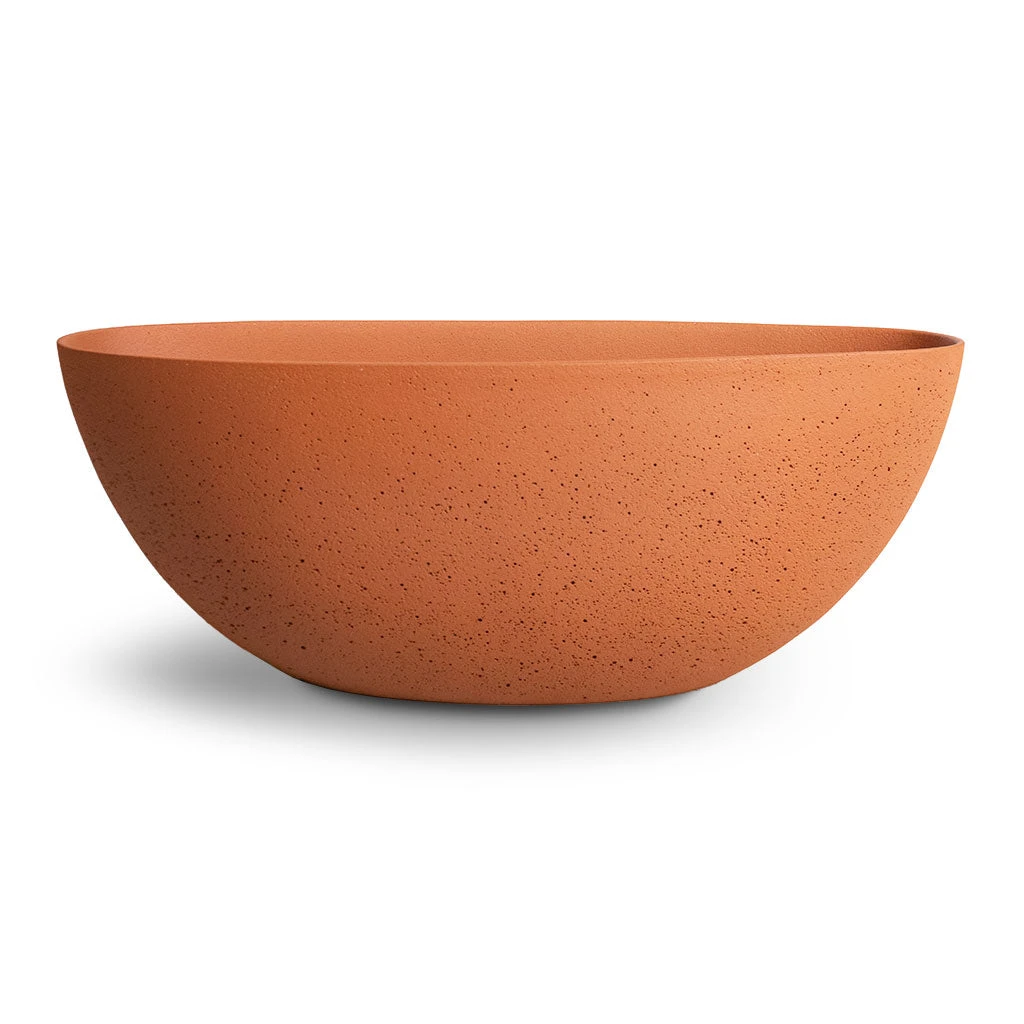 Dorant Refined Oval Plant Bowl - Canyon Orange 3 Dorant Refined Oval Plant Bowl - Canyon Orange - Image 3