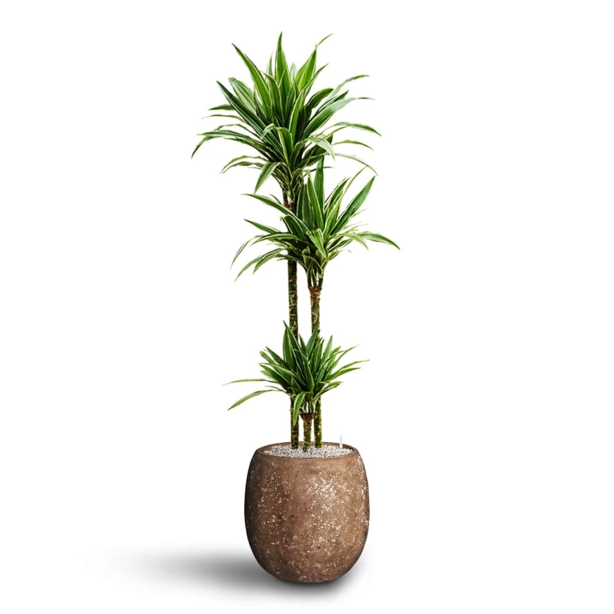 Polystone Coated Plain Balloon Planter - Rock 5 Polystone Coated Plain Balloon Planter - Rock - Image 5