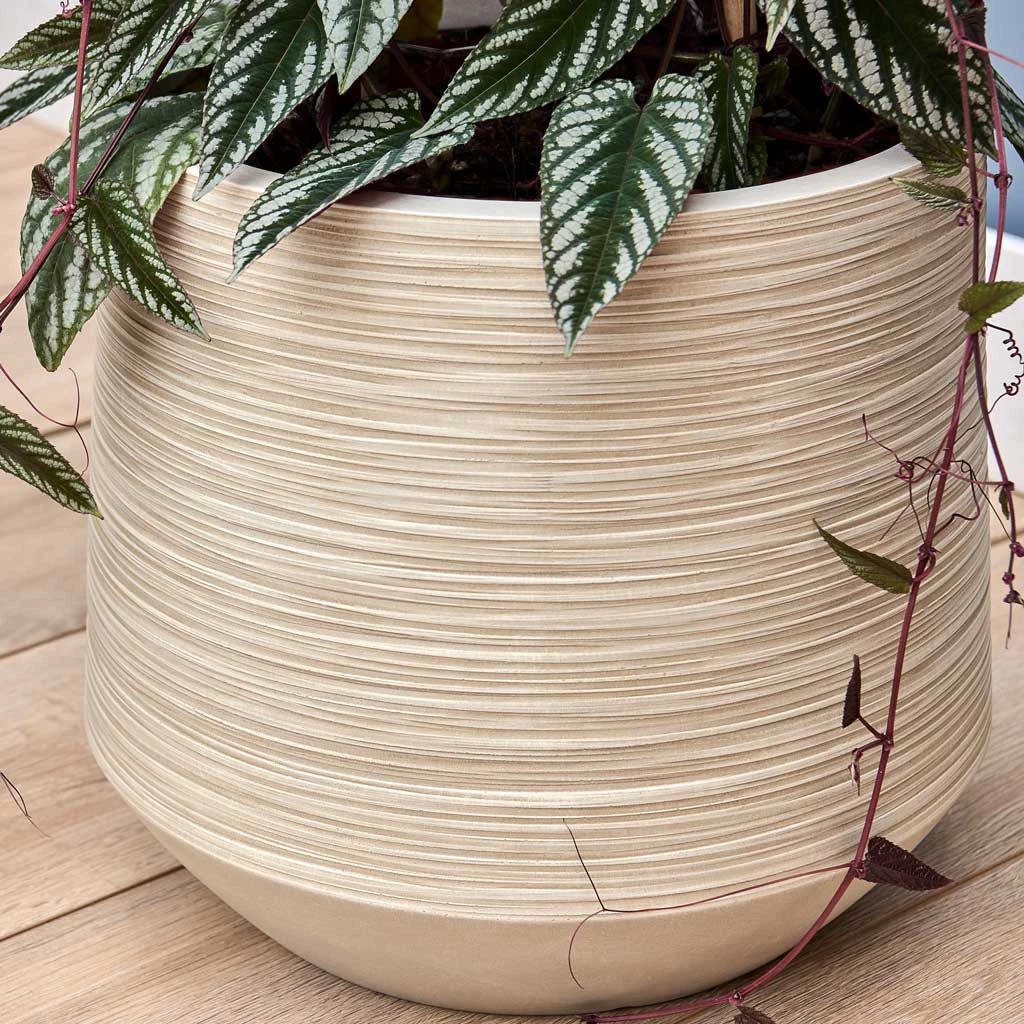 Dune Darcy Planter - Oat 2 Dune Darcy Planter - Oat - Image 2