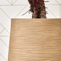 Dune Partner Planter - Almond -Indoor Plants Dune Partner Planter Almond Close Up 1