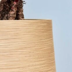 Dune Partner Planter - Almond -Indoor Plants Dune Partner Planter Almond Close Up 2 jpg